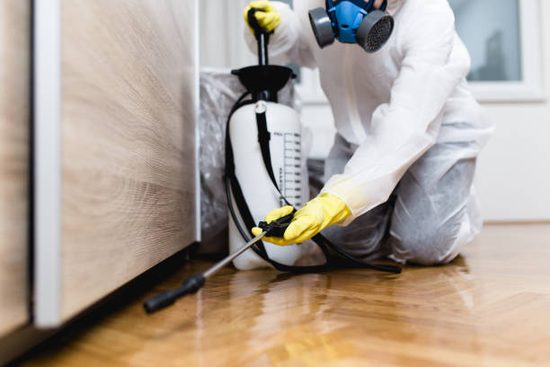 Best Flea Control Services  in Gretna, FL