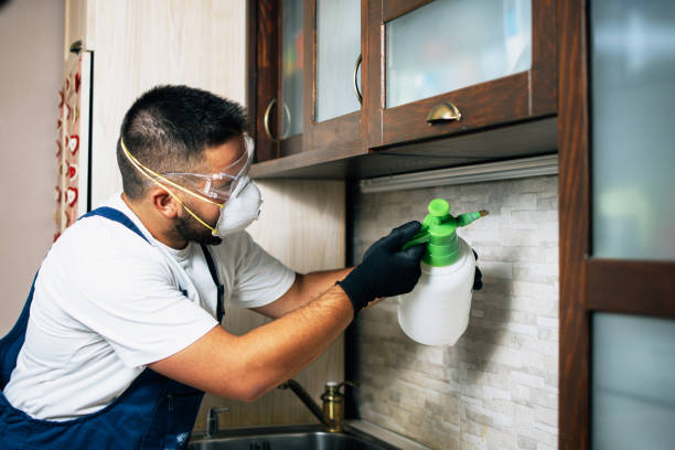 Best Pest Control Near Me  in Gretna, FL