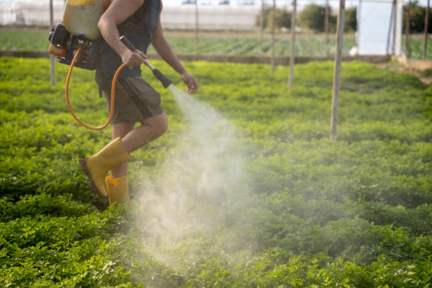 Best Pest Inspection Near Me  in Gretna, FL