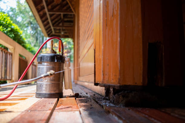 Best Wasp Removal Services  in Gretna, FL