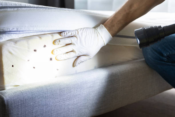 Best Best Pest Control Companies  in Gretna, FL