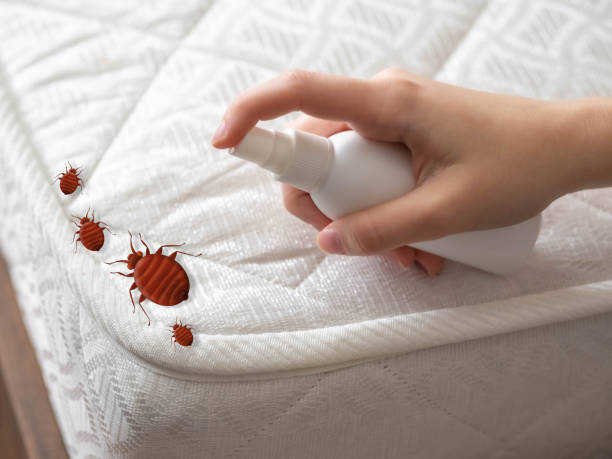 Best Pest Prevention Services  in Gretna, FL