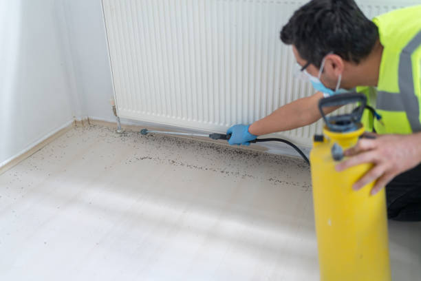  Gretna, FL Pest Control Pros