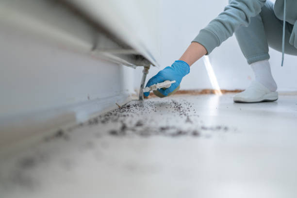 Trusted Gretna, FL Pest Control Experts